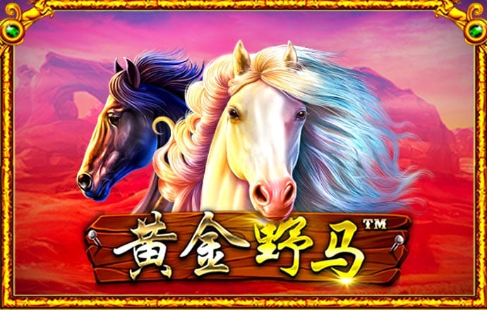 50999I:COM-WWW:50999I:COM